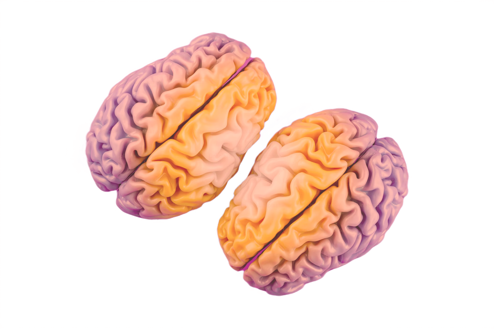 Alyea Therapeutics Media